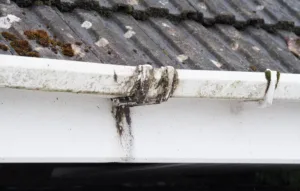 Gutter Maintenance