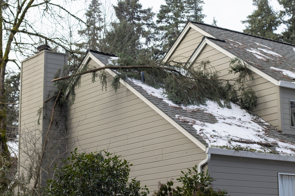 Protect Your Roof from Storm Damage