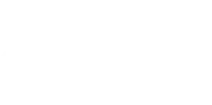 All Point Footer Logo